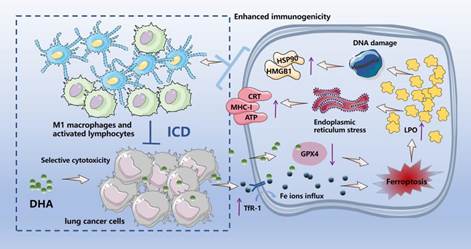 ICD